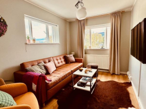 Scandinavian retro